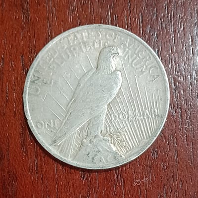 1923-P Peace Dollar US Coin 90% Silver (F) - additional view
