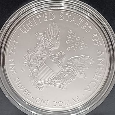 2019-W American Eagle 1 oz Silver US Coin OGP - additional view