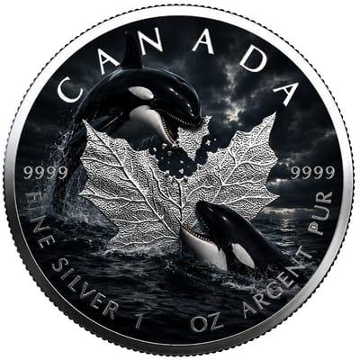 COMING SOON! 1 oz Silver Maple Leaf Coin 2026 ORCA - additional view
