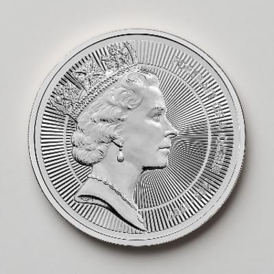 Elizabeth II The Third Effigy 2026 UK £5 Coin BU - additional view