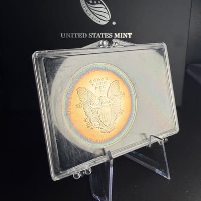 1996 Silver Eagle Dansco book tone! - additional view