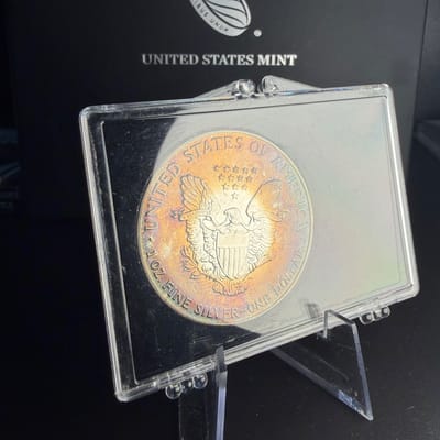 1990 Silver Eagle Dansco book tone! - additional view