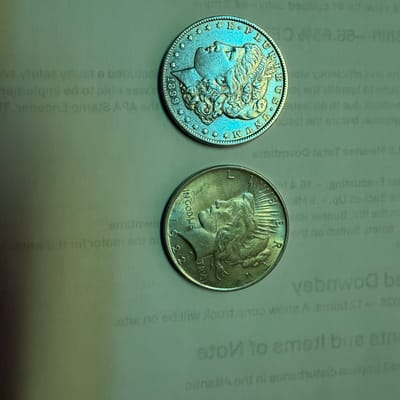 1899 Morgan (Cleaned) & 1922 Peace Dollar >spot - additional view