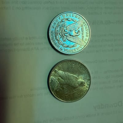 1899 Morgan (Cleaned) & 1922 Peace Dollar >spot
