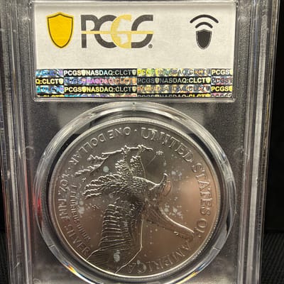 2022-W Silver Eagle Burnished SP70 - additional view