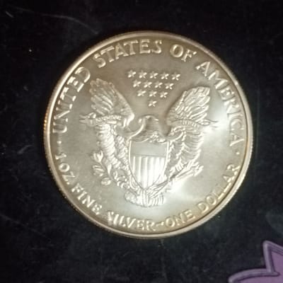 1999 American Silver Eagle . 999 pure Silver - additional view