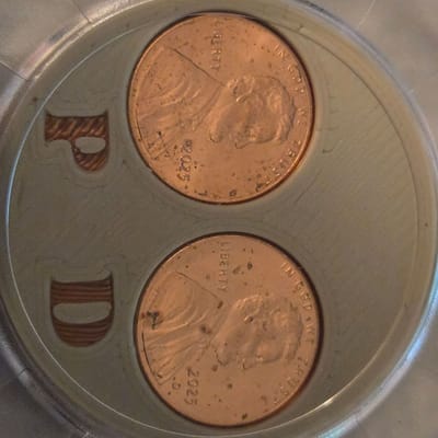 Handmade slabbed P&D last year of the cent - additional view