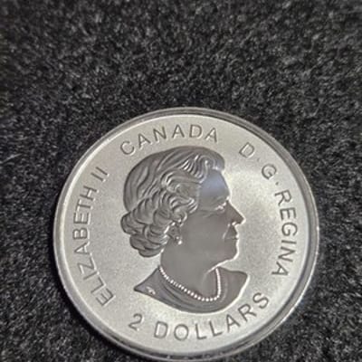 2018 1/2 oz Canadian First Special Service Force  - additional view
