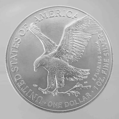 2023 American Silver Eagle 1oz Silver Coin  - additional view