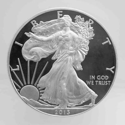 2013 Proof American Silver Eagle 1oz Coin