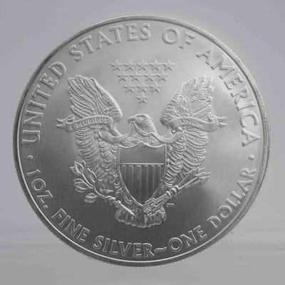2010 American Silver Eagle 1oz Silver Coin - additional view