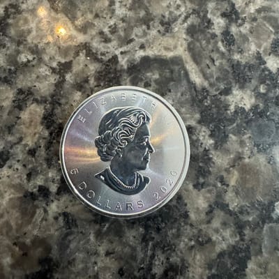 1oz Silver Canadian Dragon - additional view