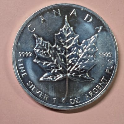 2013 Canadian Maple Leaf 9999 for $70 - additional view