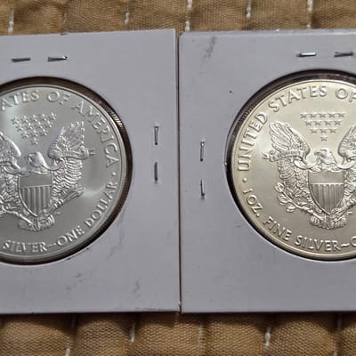 2010 & 2019 Unc AS Eagle for $130 free shipping - additional view