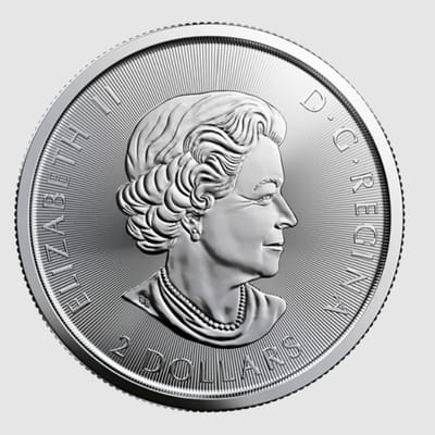 2021 1/2 oz Canada Red-Tailed Hawk Silver Coin BU - additional view