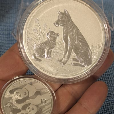 2022 10 Oz Perth Next Generation: Dingo
