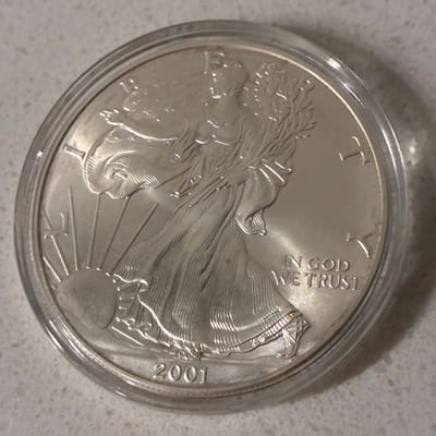2001 American Silver Eagle Bullion Coin