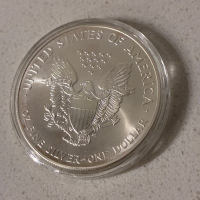 2001 American Silver Eagle Bullion Coin - additional view