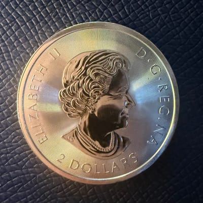 2018 Canada 1/2 oz .9999 Silver Polar Bear - additional view
