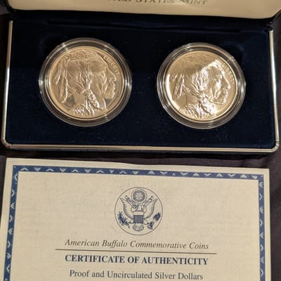 US Mint 2001 Buffalo Silver Dollars * 2 Coins *  - additional view