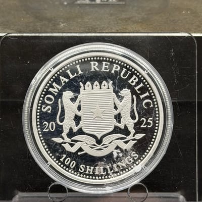 2025 Elephant Colorized ~ Somali 1oz - additional view