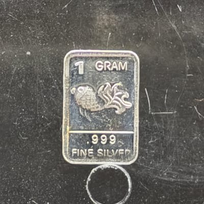 Silver 1 Gram: Koi Fish ~ Box C