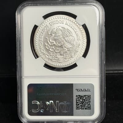 1993 Libertad 1oz BU ~ NGC MS69  - additional view