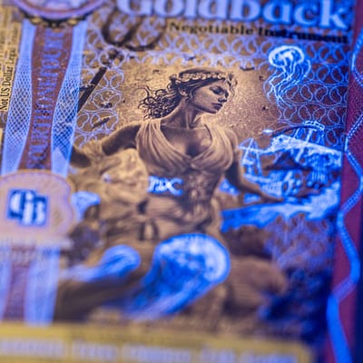 6 x Florida 1/4 Goldback 1/4000oz Gold Note - additional view