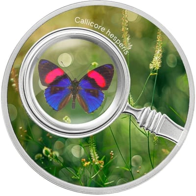 BUTTERFLIES CALLICORE HESPERIS 2024 ~ 17.5g 999