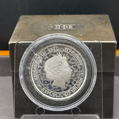Near Spot: 2017 African Leopard in Capsule - additional view