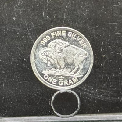 Buffalo / Indian Head ~ Silver 1g - additional view