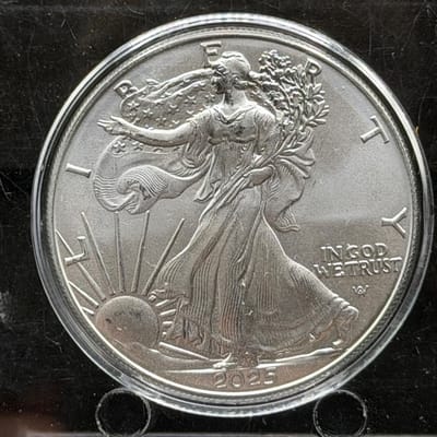 2025 American Silver Eagle 1oz in Capsule