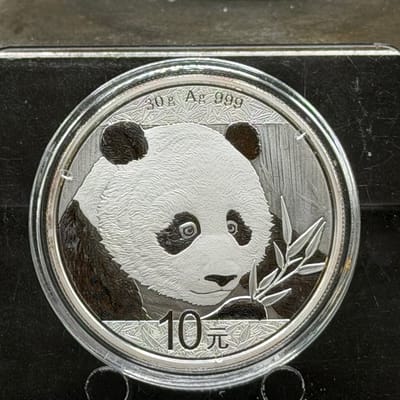 2018 Panda Silver Coin in Capsule ~ 30g