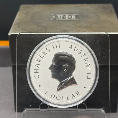 2024 Aust Wedge Tailed Eagle 10th Anv 1oz - additional view