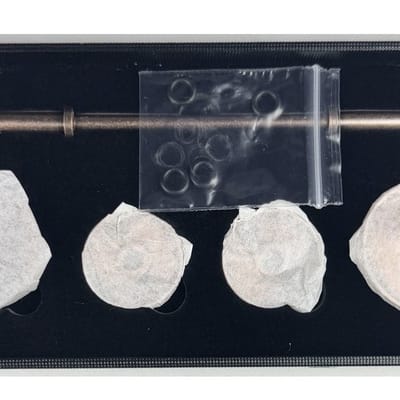 Mini Barbell Set 4oz .999 Copper Barbell Set - additional view