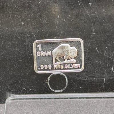 Silver 1 Gram: Buffalo ~ Box A