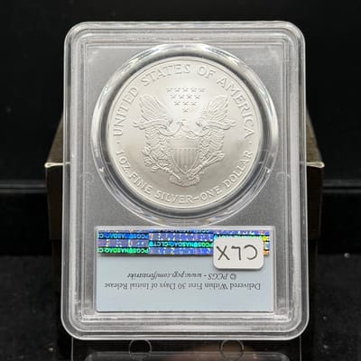 2005 American Silver Eagle 1oz ~ PCGS MS69 - additional view