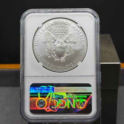 2015 American Silver Eagle ~ NGC ~ MS69 - additional view