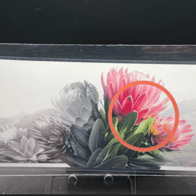 Subtropic Zone 5g Silver Bar / Foil ~ Auction