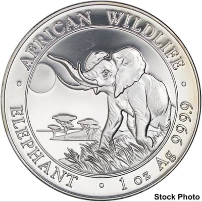 2016 African Elephant round
