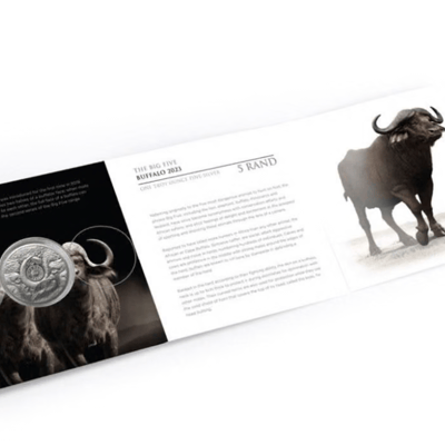 The Big Five Silver Buffalo 1 oz - Mint COA Card - additional view