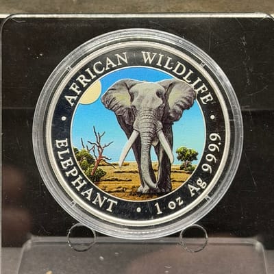 2025 Elephant Colorized ~ Somali 1oz