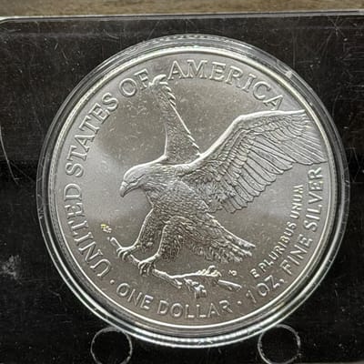 2025 American Silver Eagle 1oz in Capsule - additional view