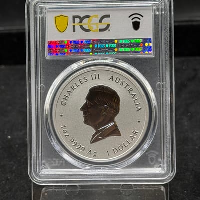 2025 Year of the Snake with Dragon Privy PCGS MS70 - additional view
