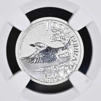 2026 P Australia Kookaburra Platinum Pt $15 NGC MS - additional view