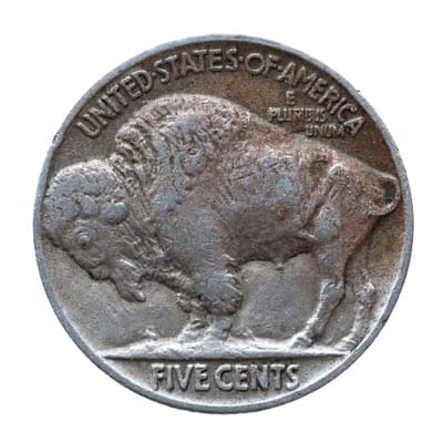 Lot of 20 Old Buffalo Nickels With Full Read Dates