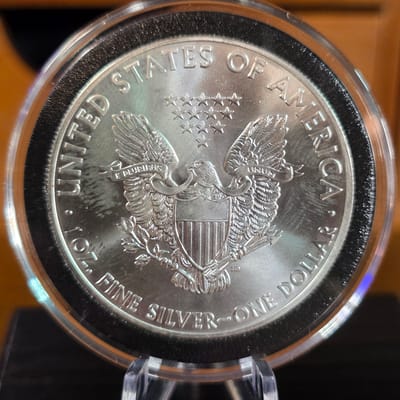 2013 American Silver Eagle - additional view