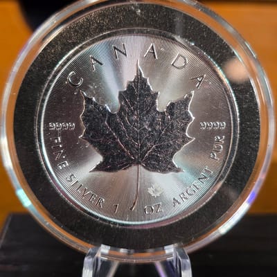 2026 Canadian Silver Maple