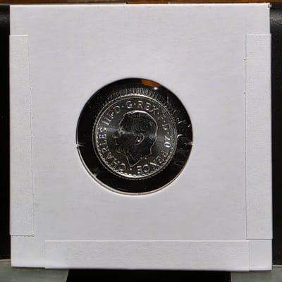 2023 British Britannia 1/10 - additional view