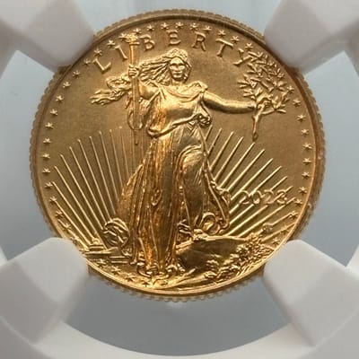 2023 1/10oz American Gold Eagle G$5 NGC MS 69 - additional view